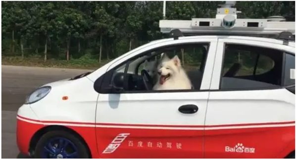 國內(nèi)外無人駕駛是什么水平？